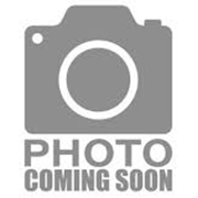 Ricoh Gen5 / 7PL Water-based Printhead, 24.8cm Long w/ the Head, 14cm Long for the Cable (Two Color, Short Cable) - J36002